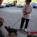 DSC03201